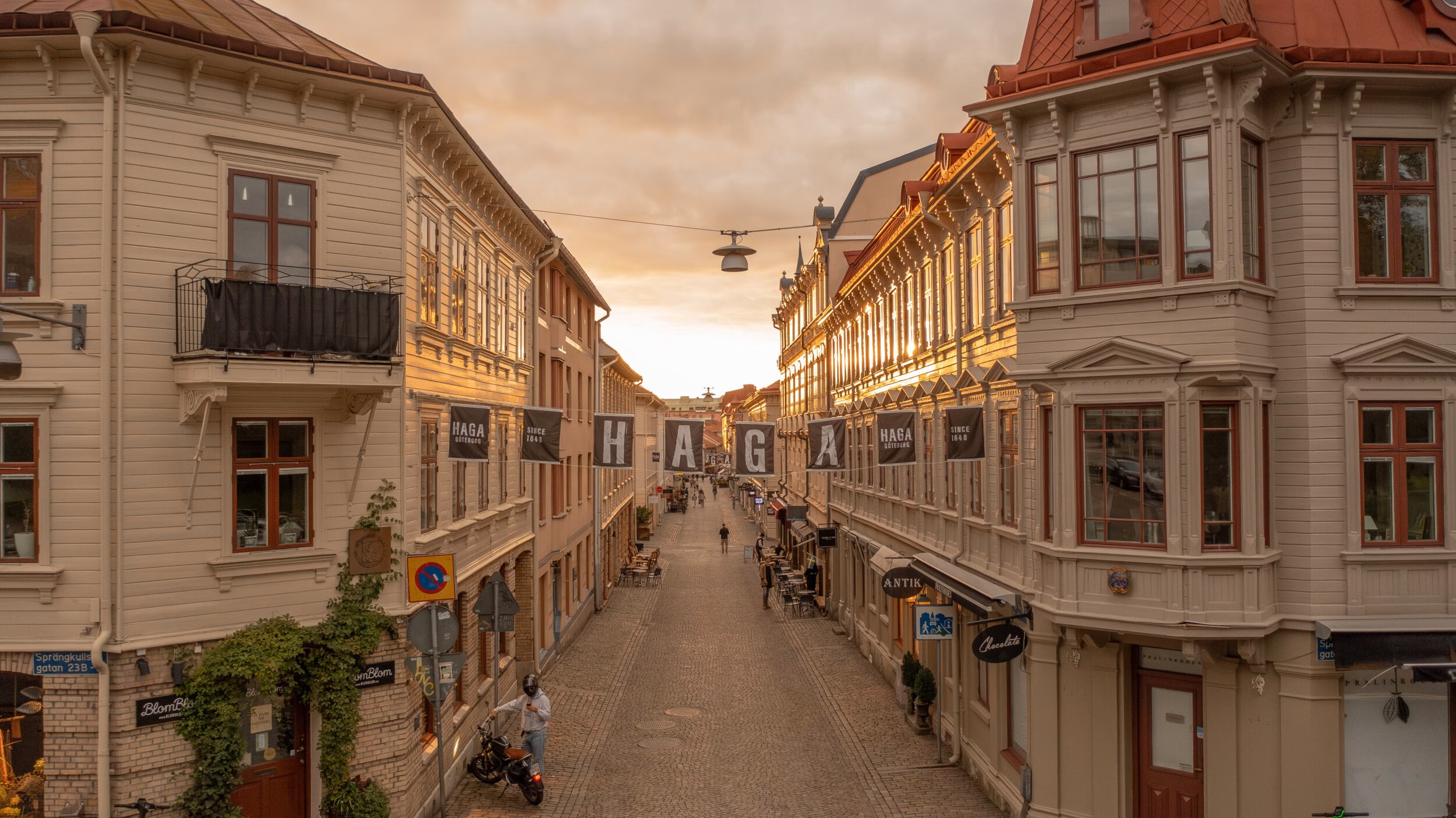 Πανοραμική άποψη ενός δρόμου της Χάγκα Γκέτεμποργκ