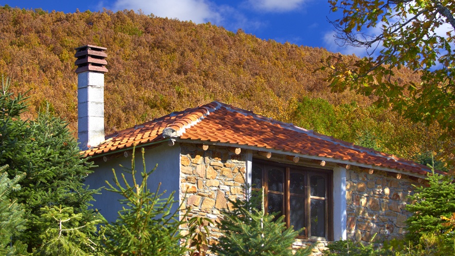 Παραδοσιακό σπίτι σε δάσος της Αρναίας