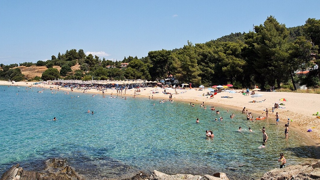 Παραλία Λαγόμανδρα Χαλκιδική τα πευκα φτάνουν μέχρι την ακτή