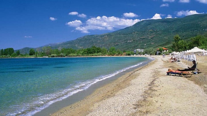 Κορώπη (Μούφα) πηλιο παραλιεσ
