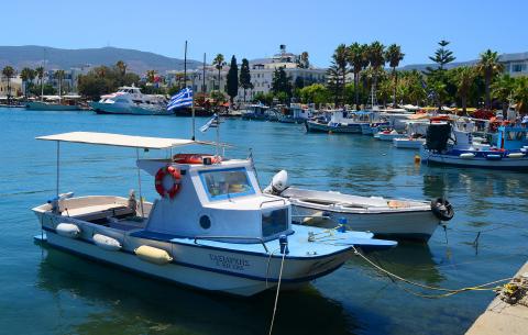 κωσ ψαρόβαρκες στο λιμάνι της κω