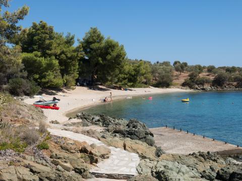 Παραλία όπου τα δέντρα φτάνουν μέχρι την αμμουδιά  χαλκιδικη παραλιεσ