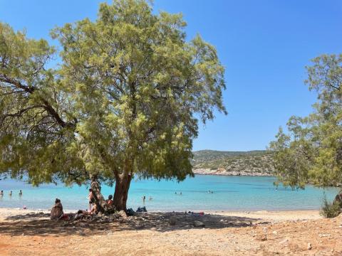 Αρμυρίκια στην παραλία της Αγίας Δύναμης και λουόμενοι κάθονται κάτω από τη σκιά τους