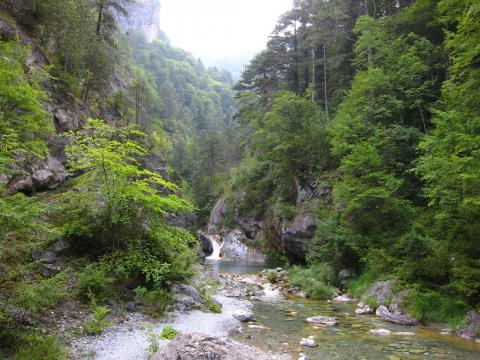 Το φαράγγι του Ενιπέα που περνά κατεβαίνει από τον Όλυμπο και περνά δίπλα από το Λιτόχωρο