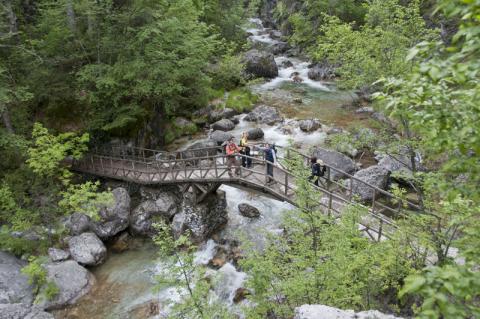 Ξύλινο γεφυράκι και περιπατητές στο φαράγγι του Ενιπέα στο Λιτόχωρο