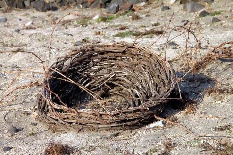 Κουλούρα η Αμπελιά στη Σαντορίνη, ένα κλίμα πλεγμένο σαν καλάθι