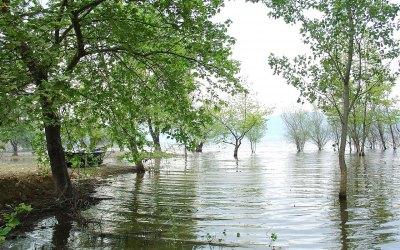 Η Λίμνη Βόλβη είναι η δεύτερη μεγαλύτερη λίμνη της Ελλάδας